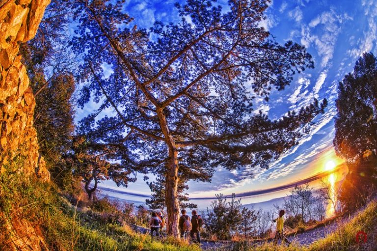 Summer School on Energy – June 2026!