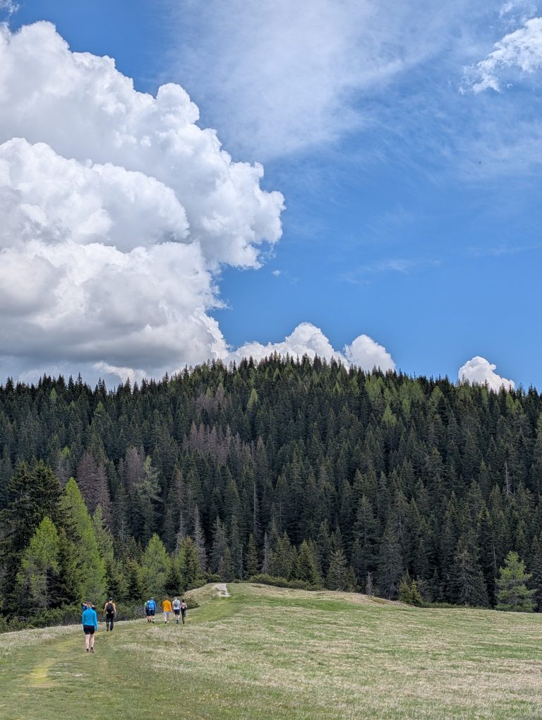 pxl 20250531 131434529